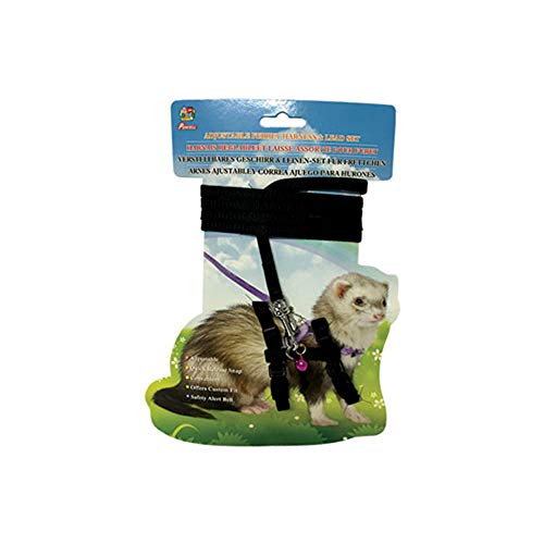 Small Animal Care Harness and Lead Set for Ferret, Black