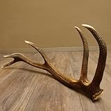 GTK Geweihe & Trophäen Krumholz ist seit über 30 Jahren Ihr Ansprechpartner für Jagdtrophäen, Zubehör und jagdliche Accessoires
