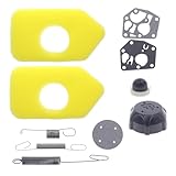 Cnfaner 698719 691859 692211 Governor Springs + 698369 Air Filter + 495770 795083 Gasket Diaphragm 492979S Fuel Cap for 3.5-4.5 HP Classic Sprint Quattro Engine