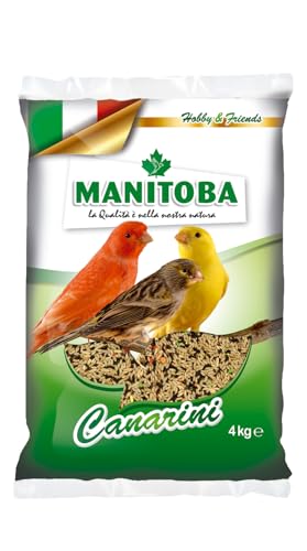 Mélange Manitoba pour canari, alimentation complète pour canari, graines de qualité italienne, dépoussiérée | 1 boîte de 4 kg.