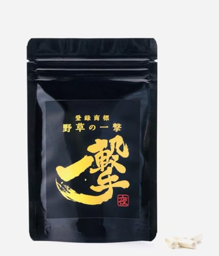 o^W 쑐̈ꌂ^ 300mg×100 h{⏕Hi i}R ERz