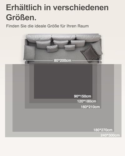 DEFYNEE Schmutzfangmatte 60 x 90 cm, rutschfeste Türmatte für Eingang, Haustür & Flur, Wasserabweisend, Maschinenwaschbar, Ideal für Hund & Haustiere, Marineweiß/Schwarz