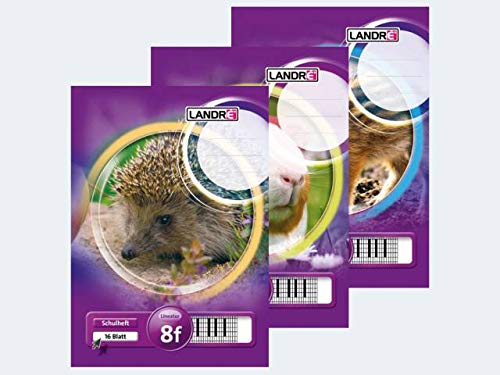 Preisvergleich Produktbild Heft A5 16Bl Lin8f raut. mit Rand