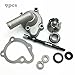 Water Pump Assy Replacement for GY6 250CC CH250 CF250 Water-Cooled ATV Scooter ATV Fitting Cover Shaft Oil Seal Replacement