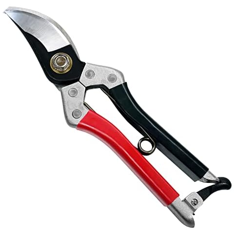 Tijeras de podar Kimura Samurai de 8" Cover