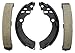 Raybestos 732PG Professional Grade Drum Brake Shoe Set