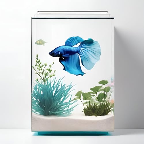 Betta-Fisch Haltung: Der ultimative Guide für Anfänger – Aquarium einrichten, Pflege & Krankheiten behandeln