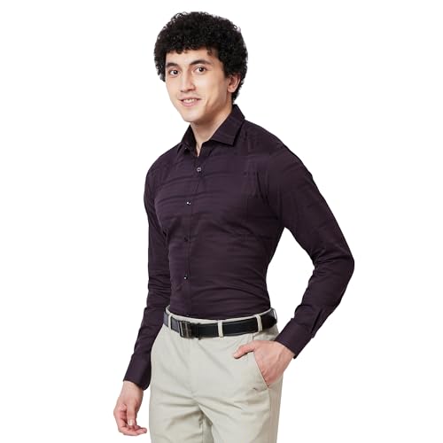 Image of Park Avenue Men's Pure Cotton Stripe Pattern Slim Fit Semi Cutaway Collar Full Sleeve Formal Shirt