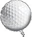 Creative Converting 47965 Sports Fanatic Golf Metallic Balloon, 18-Inches, White