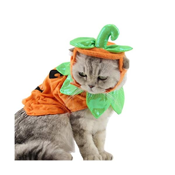 Popetpop cat pumpkin costume-halloween cat costume suits clothes hatdress headbands festival pumpkin costumes for dogs cats