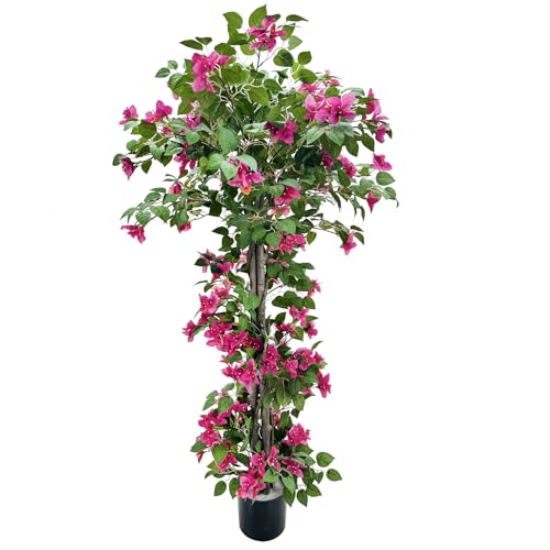 Alonfale 5FT Red Bougainvillea Tree, Potted Plant for Indoor Outdoor Decor
