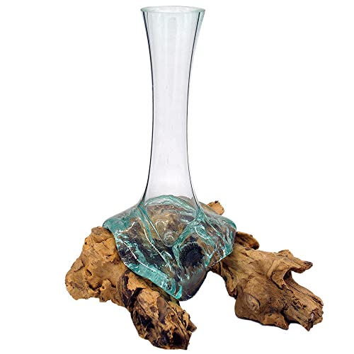 Deko-Shop-Hannusch Vase en verre avec racine de bois Décoration en bois Hauteur totale env. 25-30 cm
