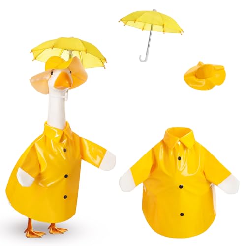 Baby Porch Goose Outfit