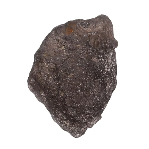 ERINGOGO ?ΐ畨 sKKX覐Ό WzΉȊw RNVpj[NfUC VDƌv[g