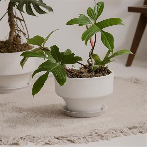 Pot de fleur rond en argile de magnésium blanc pour table
