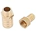 KANASI Reducing Bushing, brass barbed female for pipe connections in plumbing and industrial applications (16-25mm)