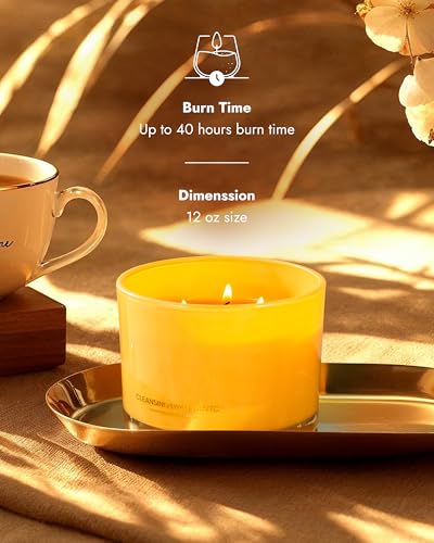 96NORTH-Luxury-Palo-Santo-Candle-Large-3-Wick-Jar-Candle-Up-to-50-Hours-Burning-Time-100-Natural-Soy-Wax-Relaxing-Aromatherapy-Aesthetic-Candles-Housewarming-Gift-for-Men-and-Women 96NORTH Luxury Palo Santo Candle Large 3 Wick Jar Candle Up to 50 Hours Burning Time 100 Natural Soy Wax Relaxing Aromatherapy Aesthetic Candles Housewarming Gift for Men and Women