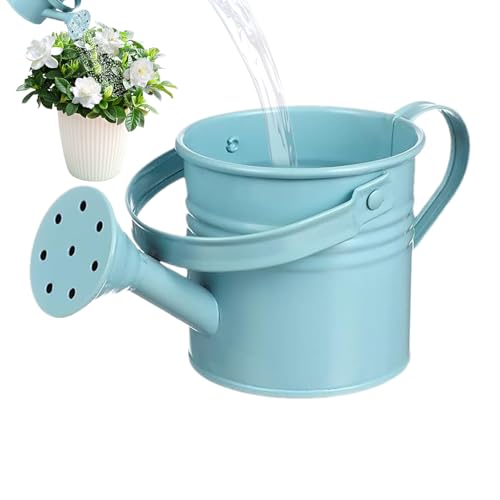 , riego galvanizado, herramienta de jardinería, maceta decorativa, contenedor de flores con asa, accesorio de porche, decoración de patio, jarra de agua para plantas, jardín para invernadero