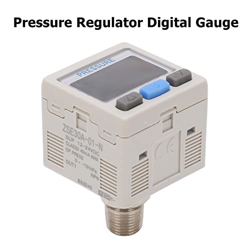 Contrôleur de pression numérique 12V 24V avec écran rétroéclairé