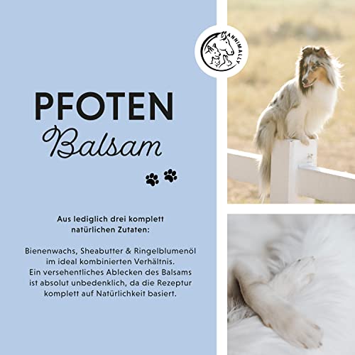 Annimally Pfotenbalsam Hund 50g - Pfotenschutz Hund und Pfotenbalsam Katze mit Bienenwachs, Sheabutter & Ringelblumenöl - Pfotensalbe für die Pfotenpflege Hund im Winter & Sommer - Hundepflege