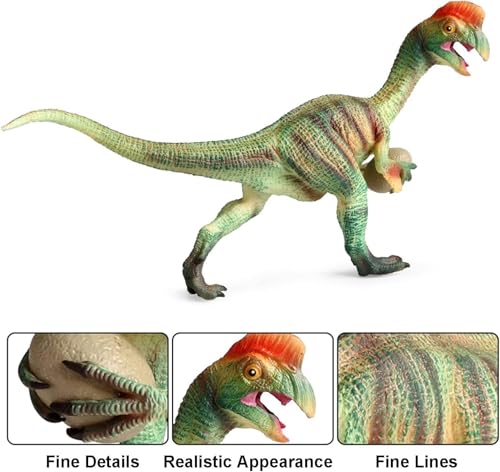 Image of SUPER TOY Realistic Oviraptor Dinosaur Toy for Kids 3-15 Years Big Size, Jumbo Dinosaur Action Figure 10 Inch Wildlife Educational Animal Toy for Boys Girls Realistic Detailed Dino Collection