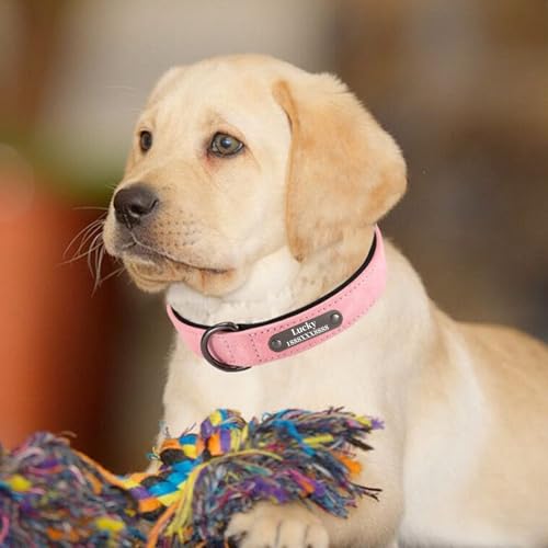 Individuelle Hundehalsbänder, reflektierendes Hundehalsband aus Leder, personalisiertes graviertes Namensschild, verstellbare Größen für kleine, mittelgroße und große Hunde