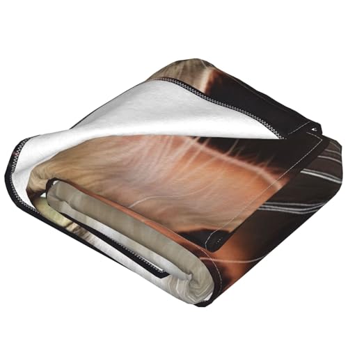Couverture imprimé chat en micro polaire 152x127 cm pour canapé