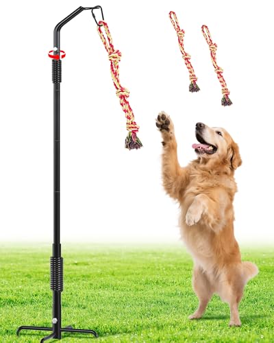 BUFOR 360° Rotation Tether Tug Outdoor Dog Toy, Exercise Tug of War Dog Toy