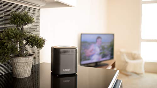 Image of AmberPRO Personal Cloud Storage Device + AC2600 WiFi Router. Dual 2TB Hard Drives with RAID 1 or Optional 4TB with RAID 0. Plex and Home Assistant. iOS /Android /Windows /Mac Compatible. AM1211-2TB