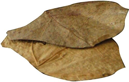 Dennerle Nano Catappa Leaves - 12 pcs, Brown (5916)