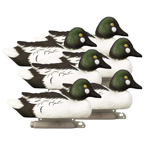 Higdon Standard Goldeneye 6-Pack