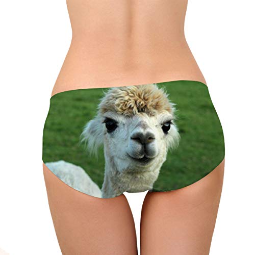 Image of Dellukee Sexy Women Underwear Briefs Breathable Hipster Panty White Alpaca Print
