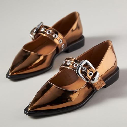 YDN Women's Buckled Strap Mary Jane Flats Fashion Pointed Toe Chunky Block Low Heels Formal Dress Business Party Shoes Size 4-16 US2