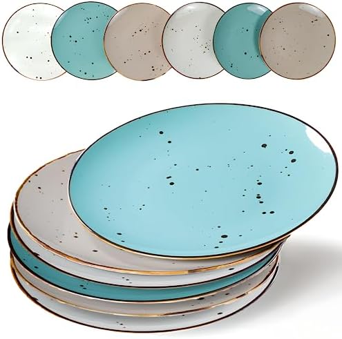 Esfour Ceramic Dinner Plates 11 inch Set of 6 - Microwave, Oven, Dishwasher Safe, Scratch Resistant, Porcelain Durable Dishes for Steak, Pizza, Home & Restaurant, Party, Gifts - Natural Assorted Color