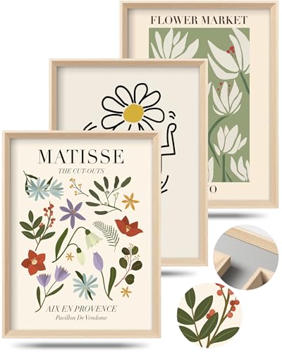 HesenDot Framed Matisse Canvas Wall Art for Bedroom,Abstract Matisse Canvas Wall Decor,Minimalist Classic Decor Aesthetic,16x12IN Wood High Framed Design Posters for Living Room,Bathroom Set of 3