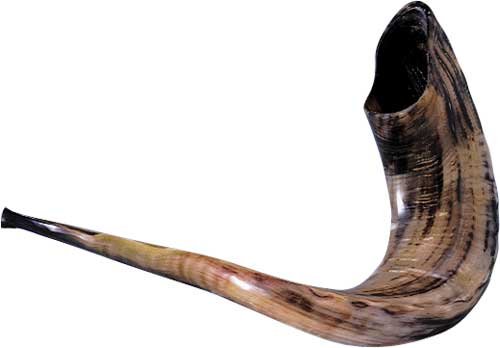 Shofar Kosher Rams Horn Polished Natural Chofar Showfar Jewish Sound Handcrafted Gift instrument
