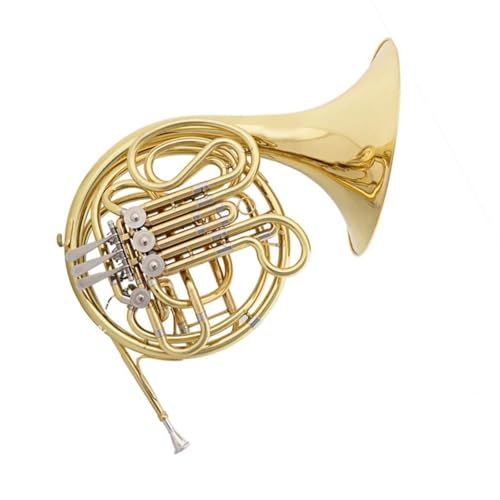 lp[tHjA Lȋ̃S[huXvdl_u[ht`z