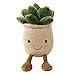 Junerain Simulation Plüsch Stoffpuppe Spielzeug, Sukkulenten Plüsch Spielzeug Dekoration, lebensechte Sukkulenten Cartoon Pflanzen Blumentopf Topfblumen Kissen für Kinder Erwachsene Geschenk