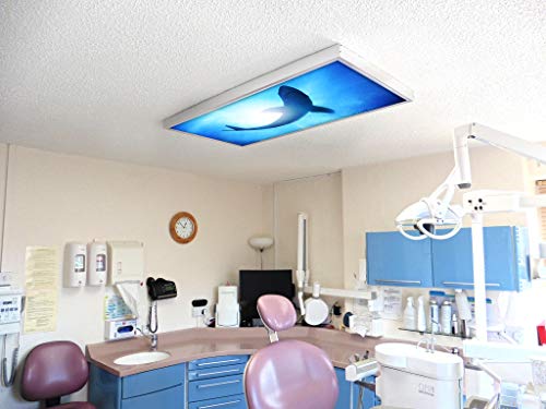 Image of Fluorescent Light Cover for Classroom Ceiling Lights - Premium Backlit Film Insert 2x4 (22.38 inchx46.5 inch) Florescent Fixture (Pack of 1) School, Office, Sensory, Improve Focus, Eliminate Headaches - Shark