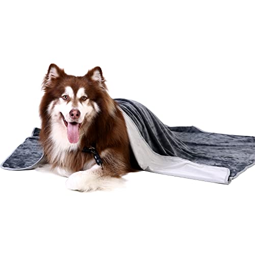 Top 10 Cooling Blanket For Dogs of 2022 Katynel