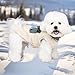 FEimaX Warme Hundemantel Winddichte Haustier Winter Fleece Hundejacke Winterweste mit D-Ring Hundekleidung Welpenjacke für Kleine Mittlere Hunde