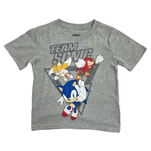 Image of SEGA Sonic The Hedgehog Toddler /Little Boys 2-Piece Clothing Sets Short Sleeve Tee-Shirt and Shorts Set