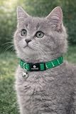 collare gatto - gattino Elza verde 15–22 cm – nylon elastico riflettente con campanellino...