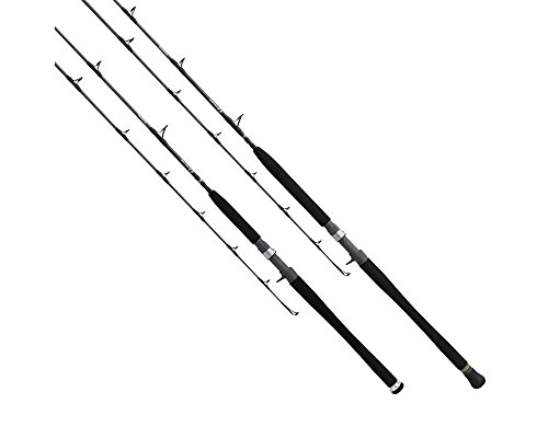 Daiwa SAG-J60MHF Saltiga G Jigging Conventional Rod, 6