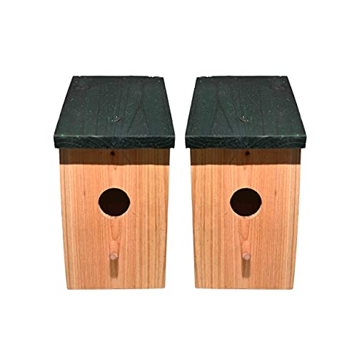 Ram© 2 X Holz Holz Vogel Nistkasten Nest Vogelhaus Kleine Vögel Blaumeise Rotkehlchen Spatz Vogelhaus Futterhaus