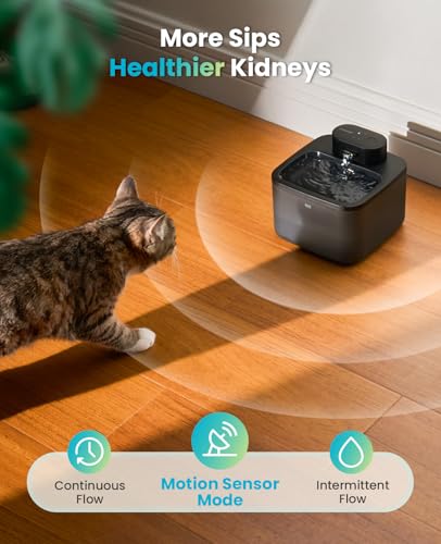 Image of oneisall 2.2L Wireless Cat Fountains with 6 Filters for Small Cats & Dogs