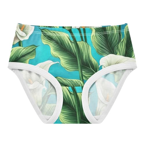 White Calla Lilies Green Leaves Teal Girl Panties Cute Girls Underwear Toddlers Cotton Funny Briefs Underpants 2t