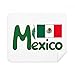 Mexico National Flag Green Pattern Cleaning Cloth Screen Cleaner 2pcs Suede Fabric