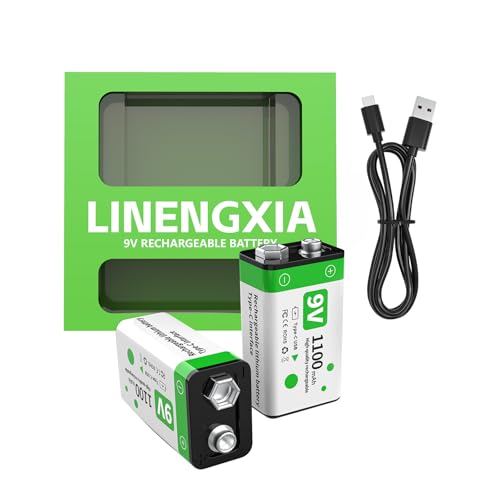 LINENGXIA 9V 1100mAh Lithium Rechargeable 2-Pack Batteries Type-C Cable