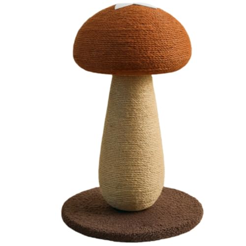 Barino L̂ƃybgpi L^[ ܂Ƃ|[ L ܌LmR   ܂Ƃ   cu^ ^sXgX VRTCU gݗĊ (X^C,LmR)